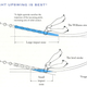 Illustration for article titled The Beautiful Infographics Of Ted Williams's The Science Of Hitting